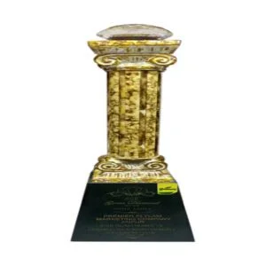 1597916736-certificate-image-1-300x300