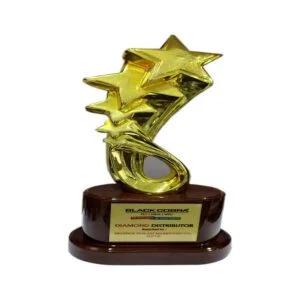 1597916842-certificate-image-1-300x300