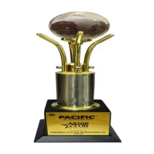 1597917028-certificate-image-1-300x300