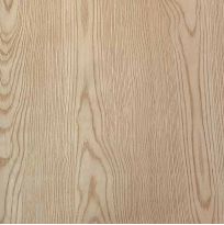 Delta - Divine collection